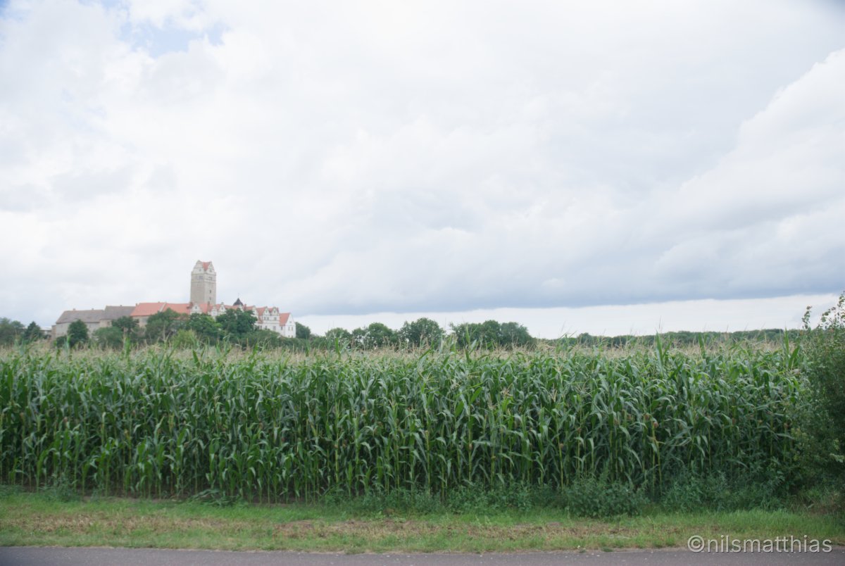dsc_4080